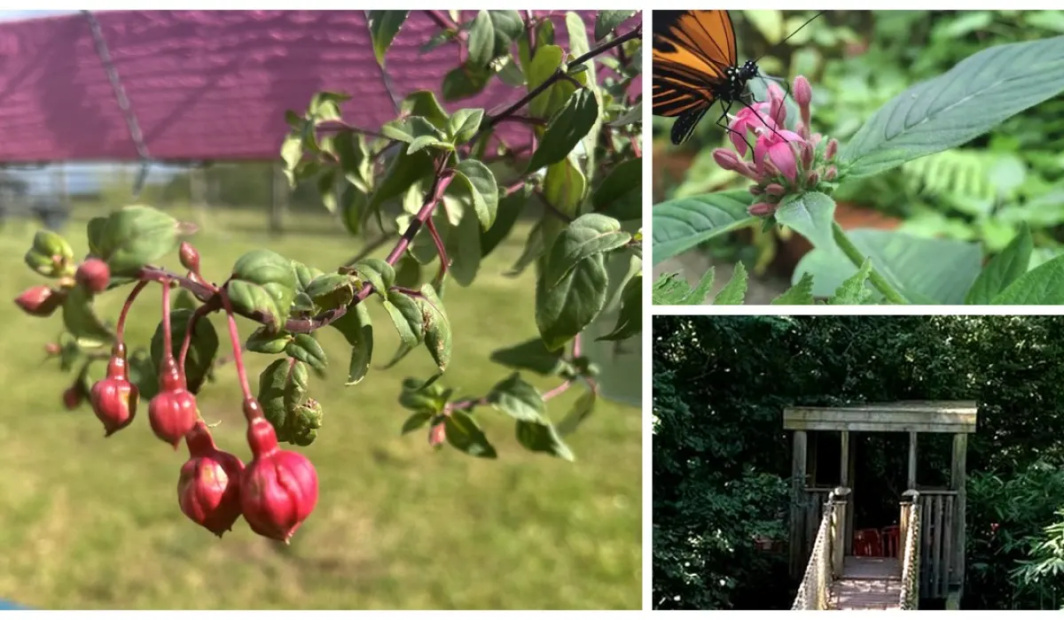August Across Our Homes